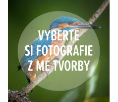 Digitální fotografie pro osobní potřebu