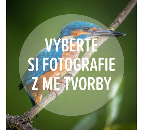 Digitální fotografie pro osobní potřebu