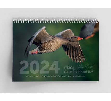 Nástěnný kalendář "Ptáci České republiky 2024" 2+1 ZDARMA